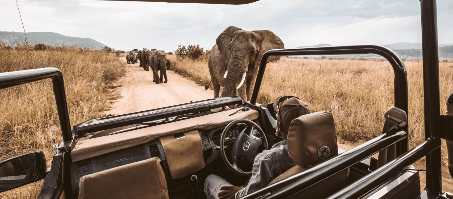 Tarangire, Sudáfrica