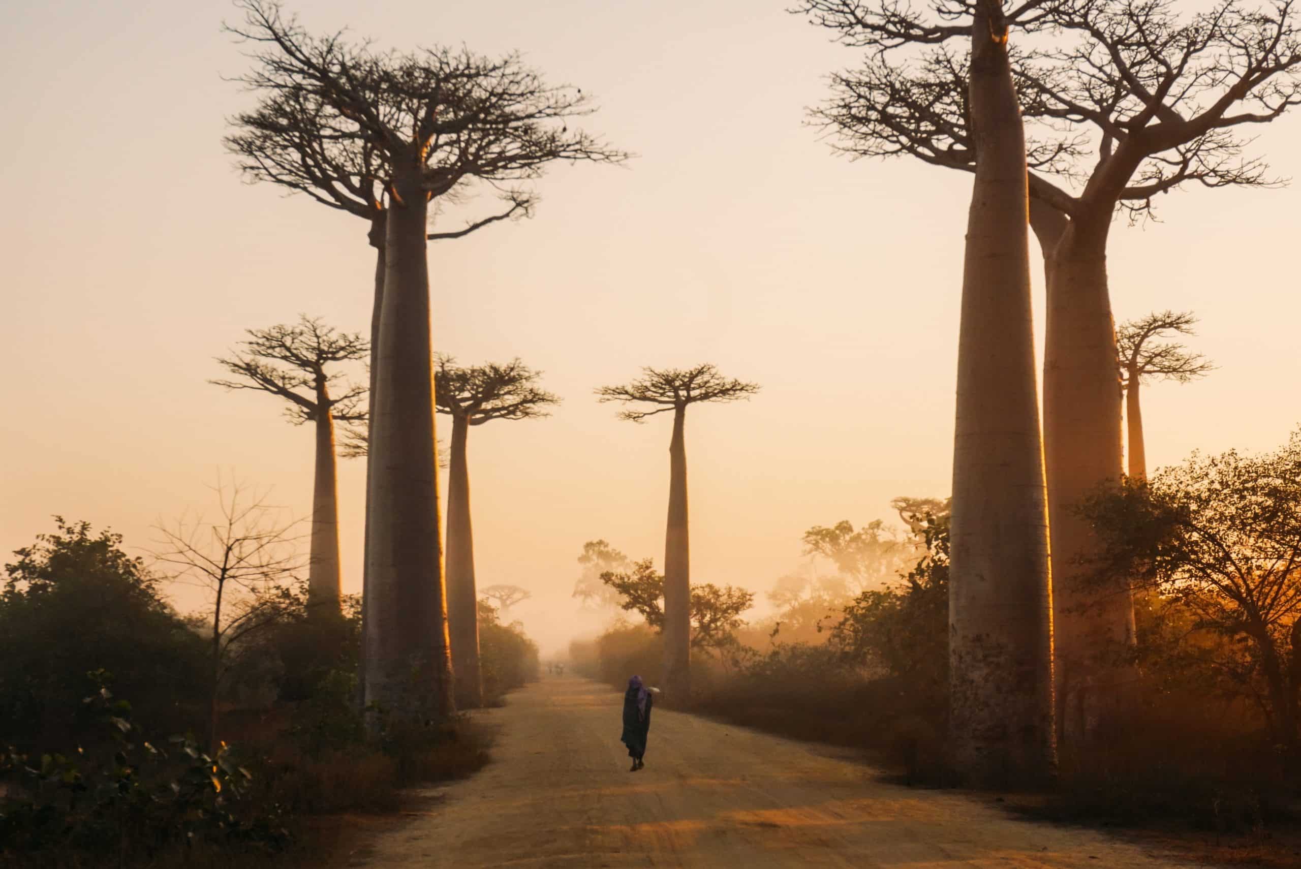 Semana de África: 10 destinos imprescindibles