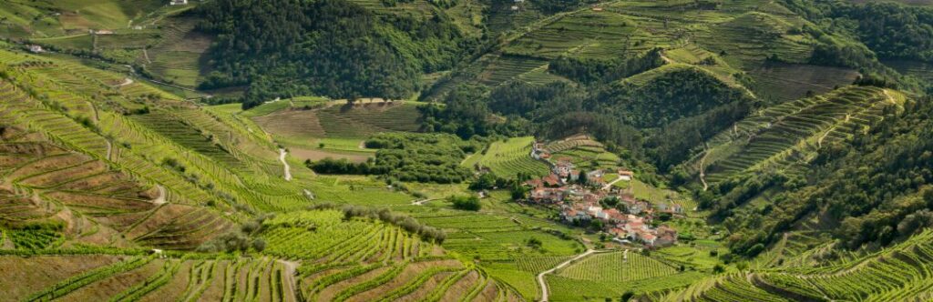 Terrazas de viñedos junto al río Duero en Portugal, con laderas verdes y una bodega tradicional.