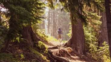 Descubre rutas ecológicas diseñadas a medida