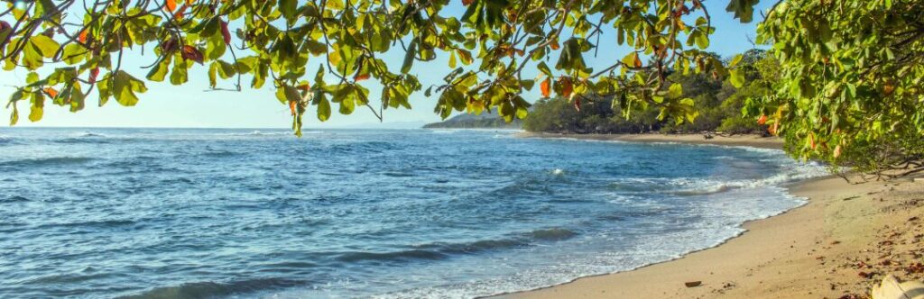 Playa 100% virgen con arboles y montañas de fondo en costa rica