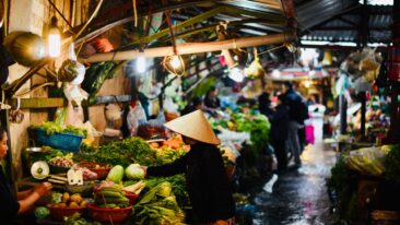 Recomendaciones locales que transforman tu viaje
