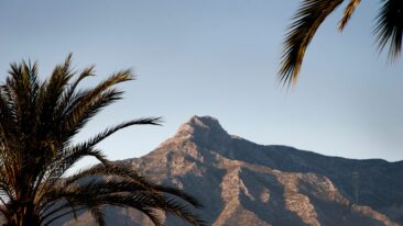 Montaña rocosa de fondo con palmeras en primer plano