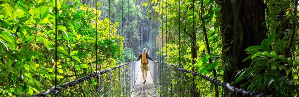 Image of a person walking along a jungle path