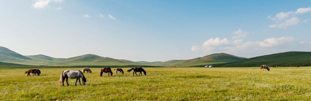 Paisaje con montañas de fondo y caballos comiendo hierba
