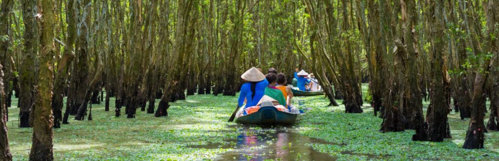 Imagen de una visita en barca por una lago rodeado de arboles acuáticos y platas flotando