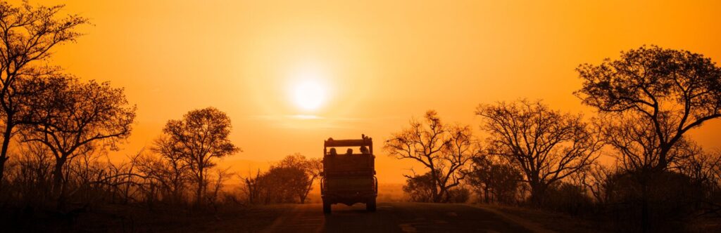 Ruta en coche por una carretera al atardecer y con árboles a los costados de la carretera