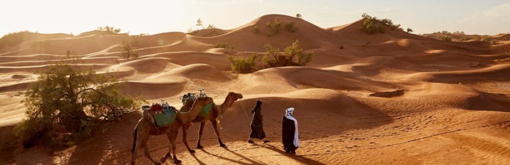 Desert landscape in which two people walk with two camels