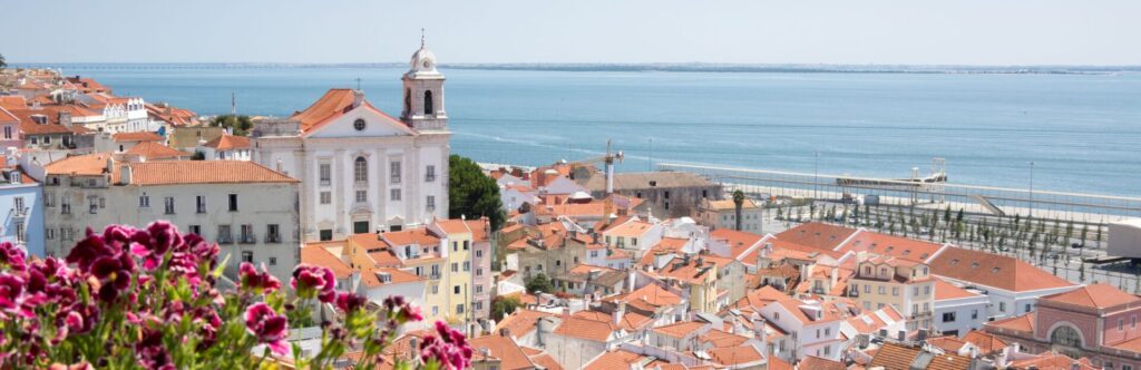 Paisaje de una ciudad con unas flores rosas en primer plano y con el mar de fondo